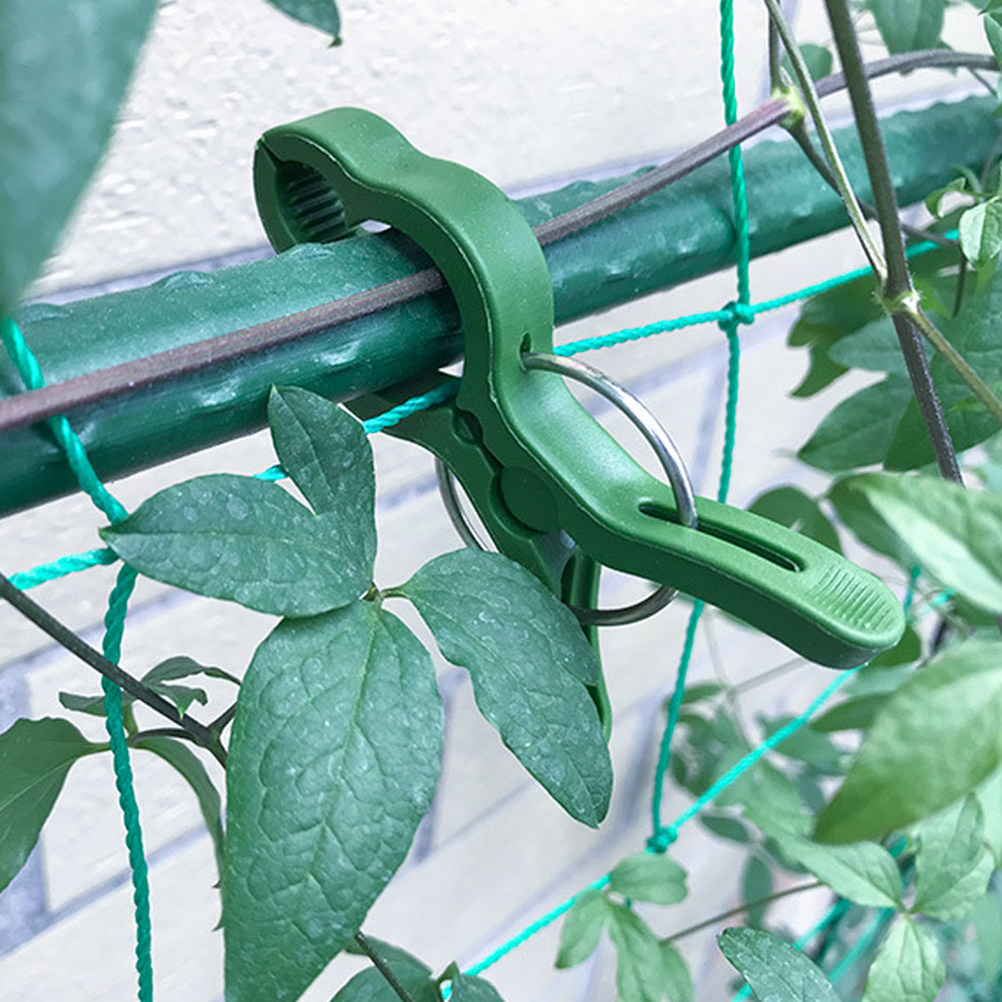 Vine Climbing Plastic - 60 Clips de Plástico para Plantas