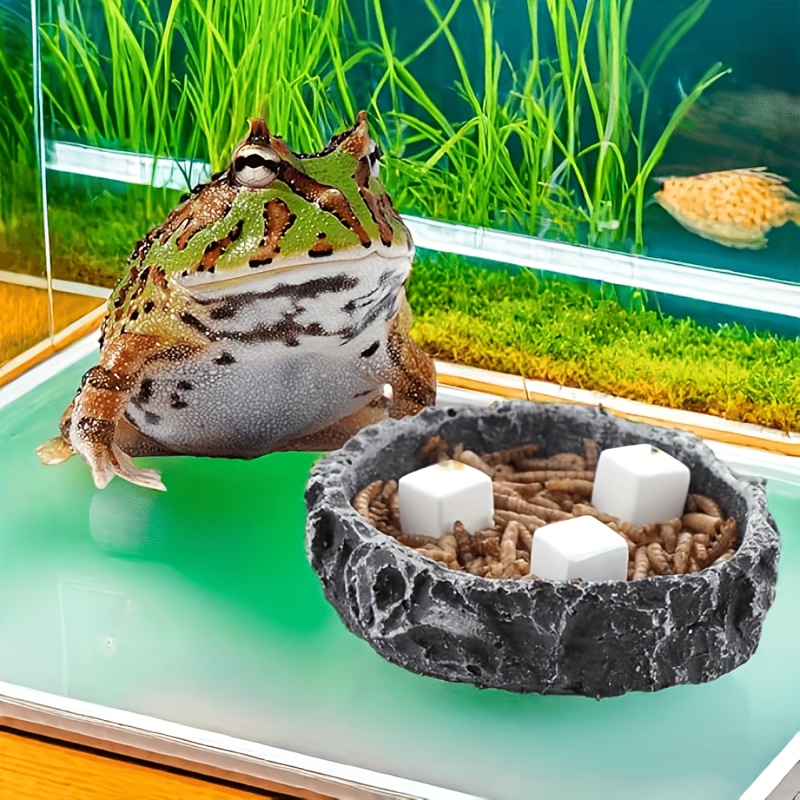 6 piezas de bloques de calcio  - Calcium Powder Reptile reseña y precio