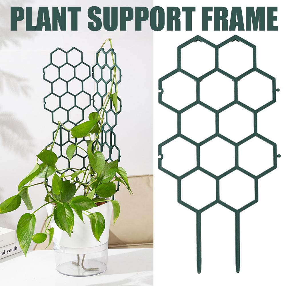 Soporte de plástico para plant - Vine Climbing Plastic reseña y precio