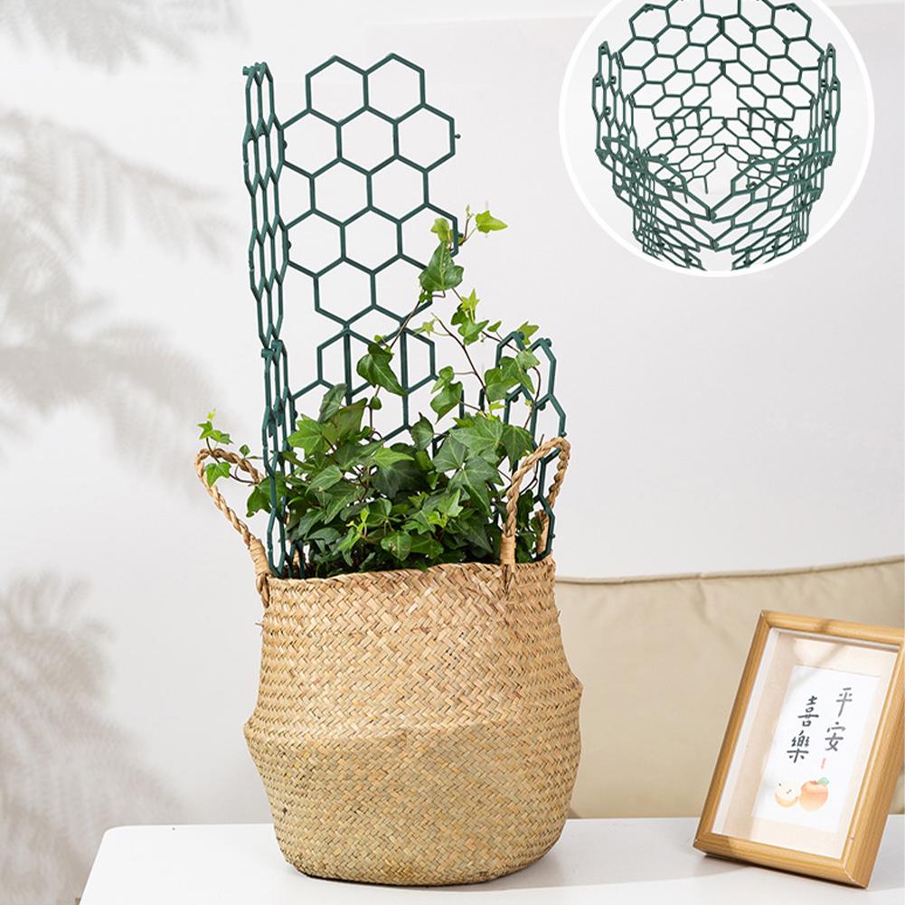 Soporte de plástico para plant - Vine Climbing Plastic reseña y precio
