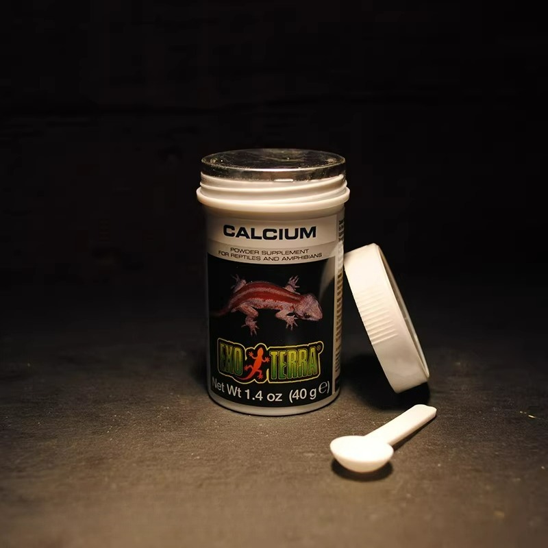 HAGEN Polvo de Calcio para Rep - Calcium Powder Reptile reseña y precio