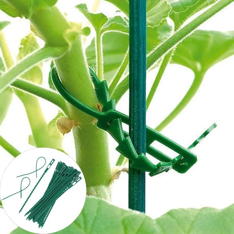 Cintas de sujeción reutilizabl - Vine Climbing Plastic reseña y precio