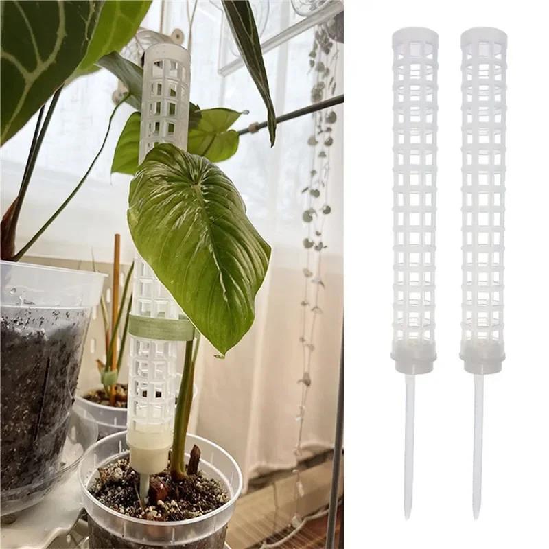 Soporte para Plantas Trepadora - Vine Climbing Plastic reseña y precio