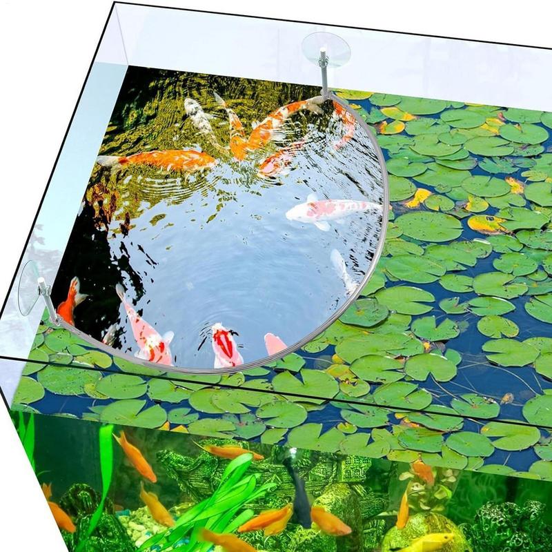 Anillo de alimentación de pece - Aquael Filter Fzn reseña y precio