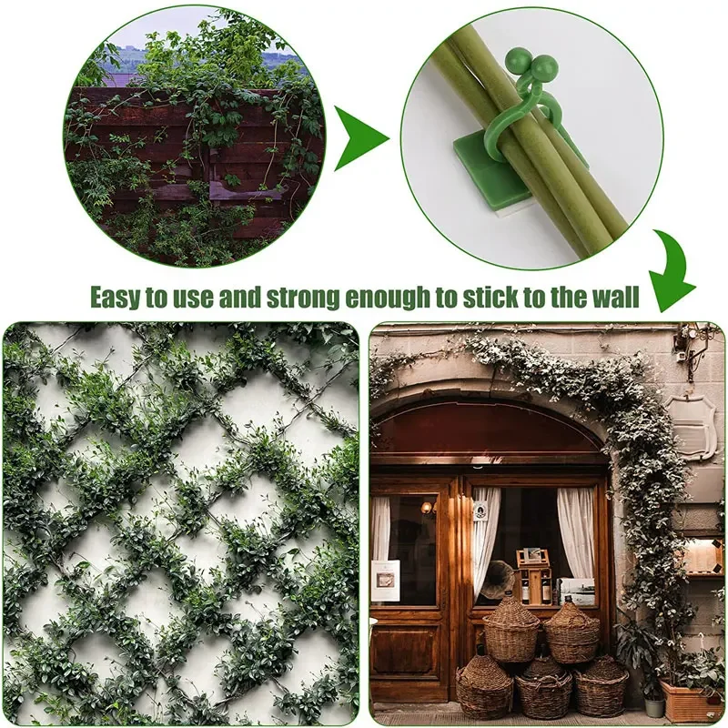 Accesorios para jardín, maceta - Vine Climbing Plastic reseña y precio