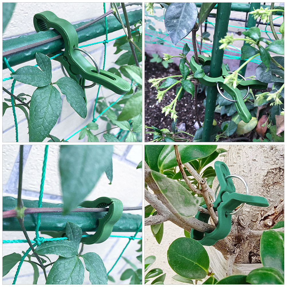 60 Clips de Plástico para Plan - Vine Climbing Plastic reseña y precio