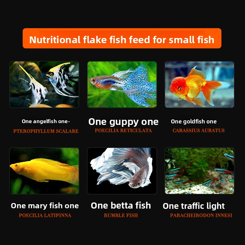 DaJiaWa-alimento para peces en - Tetra Food Tropical Flakes reseña y precio
