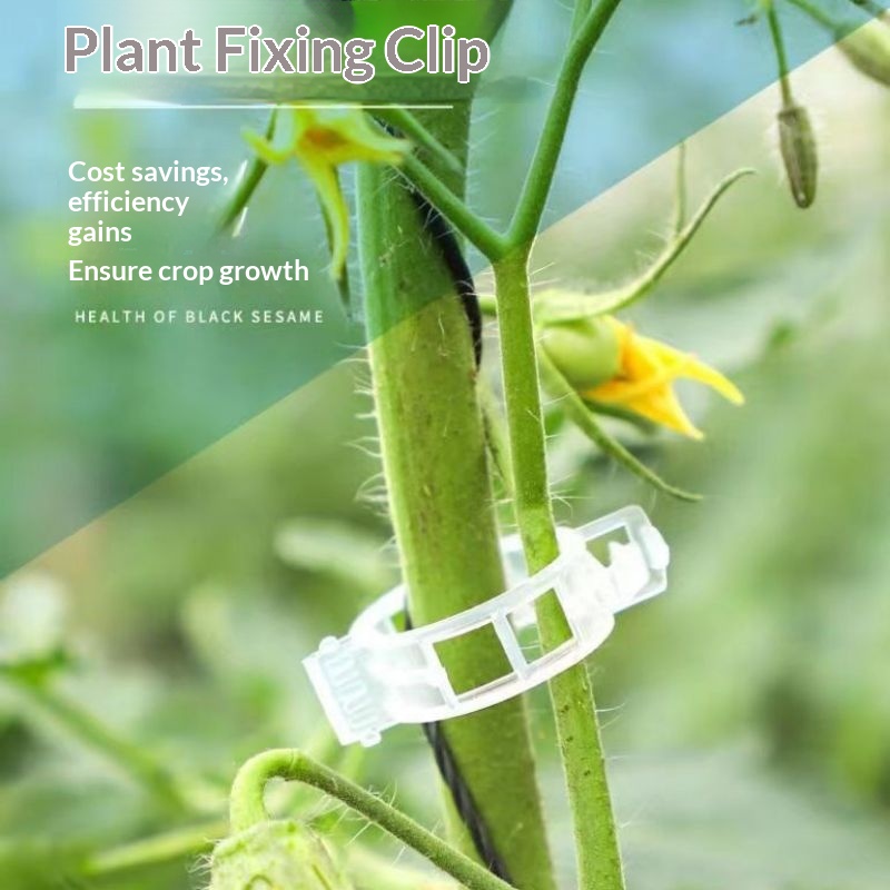 Clips de plástico reutilizable - Vine Climbing Plastic reseña y precio