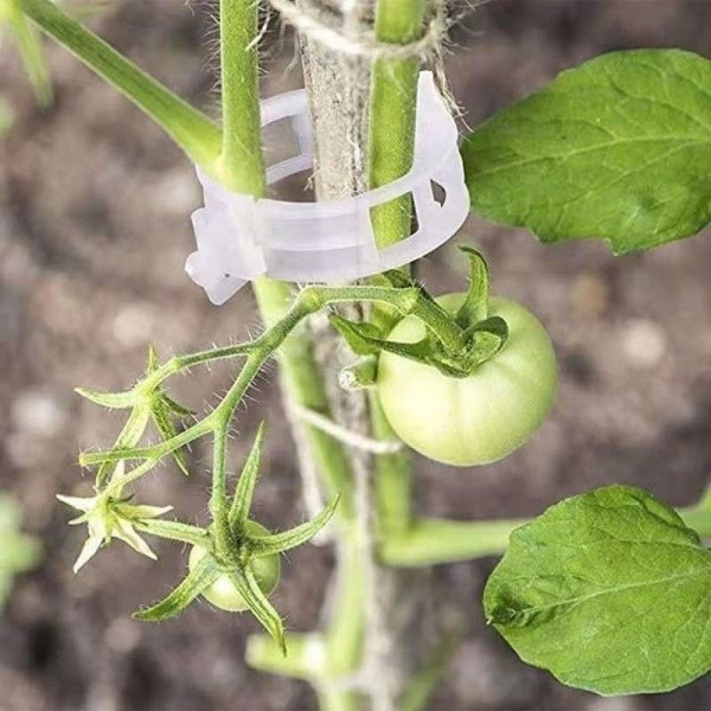 Clips de plástico reutilizable - Vine Climbing Plastic reseña y precio