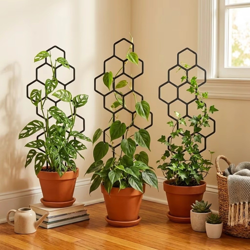 Soporte de Plástico Antioxidan - Vine Climbing Plastic reseña y precio