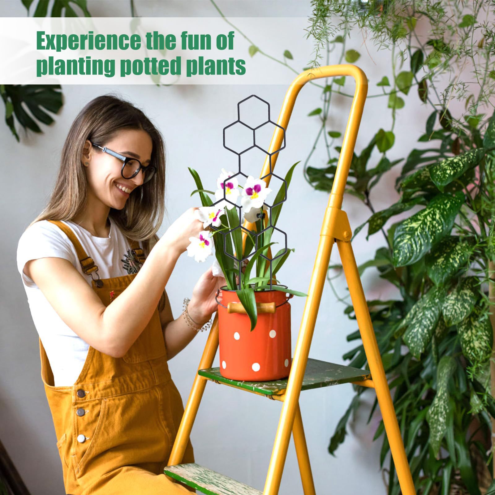 1 unidad de soporte para plant - Vine Climbing Plastic reseña y precio