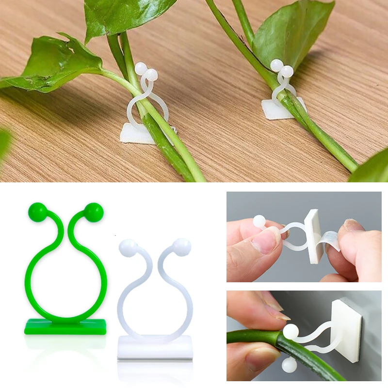 Gancho de hebilla fija autoadh - Vine Climbing Plastic reseña y precio